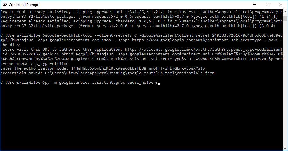 Screenshot del comando digitato al prompt dei comandi per testare l'Assistente Google