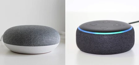 alexa google nido